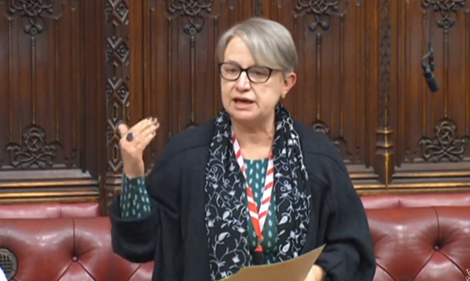 Baroness praised for cutting takedown of Rwanda bill and Tory attacks on the vulnerable - Vimarsana News