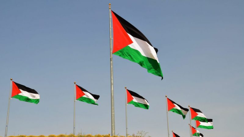 A photo of Palestinian flags on poles