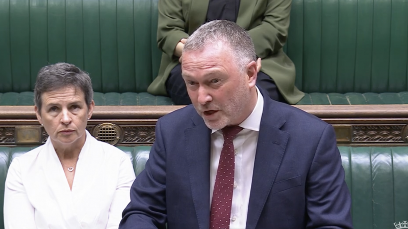 Environment secretary Steve Reed speaking during urgent questions