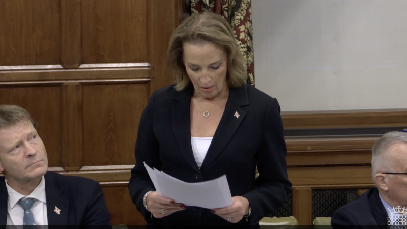 Sarah Pochin MP said Reform wouldn't rule out using British overseas territories for asylum processing