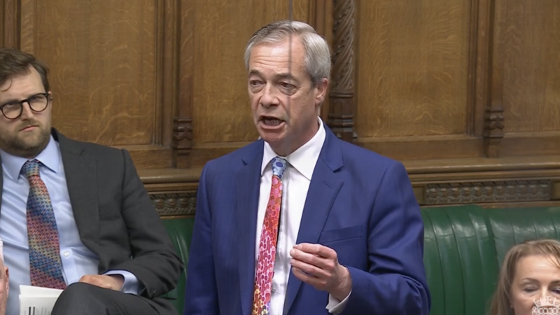 Nigel Farage at PMQs